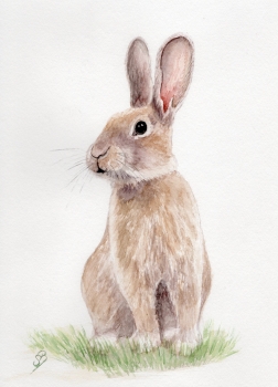 Postkarte DIN-A6 Aquarell Kunst Druck Kunstdruck Hase Kaninchen Ostern Frühling Osterhase